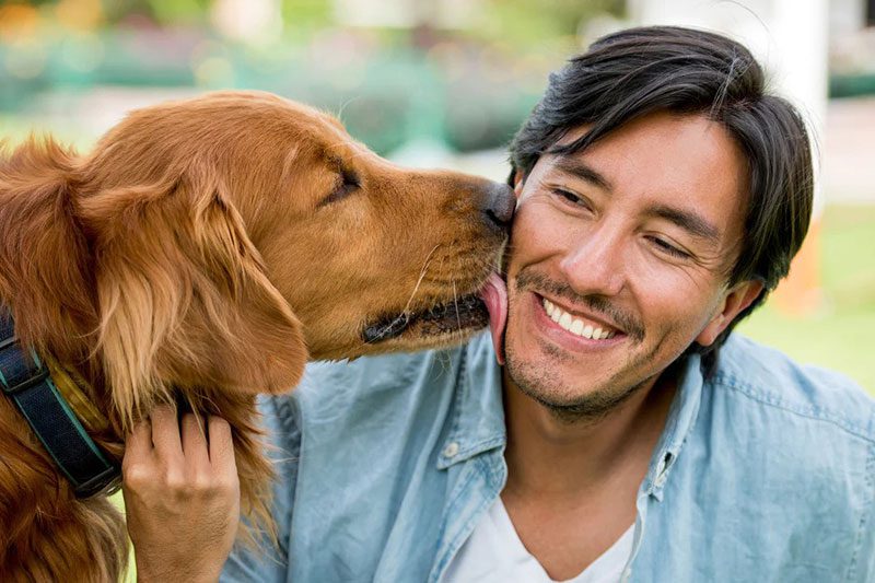 چرا سگ ها صورت شما را لیس می زنند