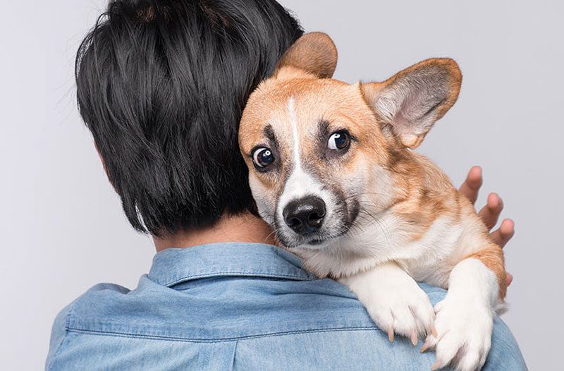 آیا سگ ها می توانند ترس انسان را حس کنند